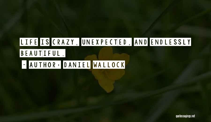 Unexpected Beauty Quotes By Daniel Wallock