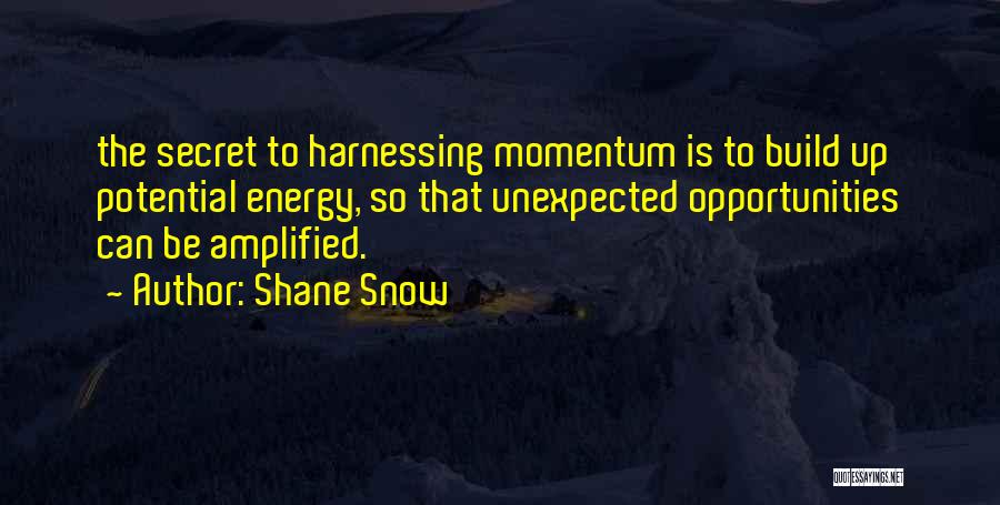 Unexpected Opportunities Quotes By Shane Snow