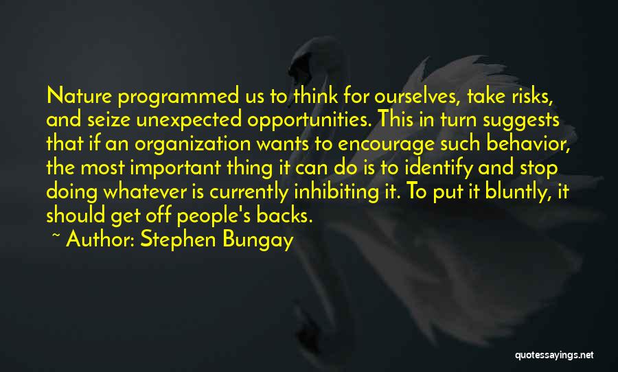 Unexpected Opportunities Quotes By Stephen Bungay