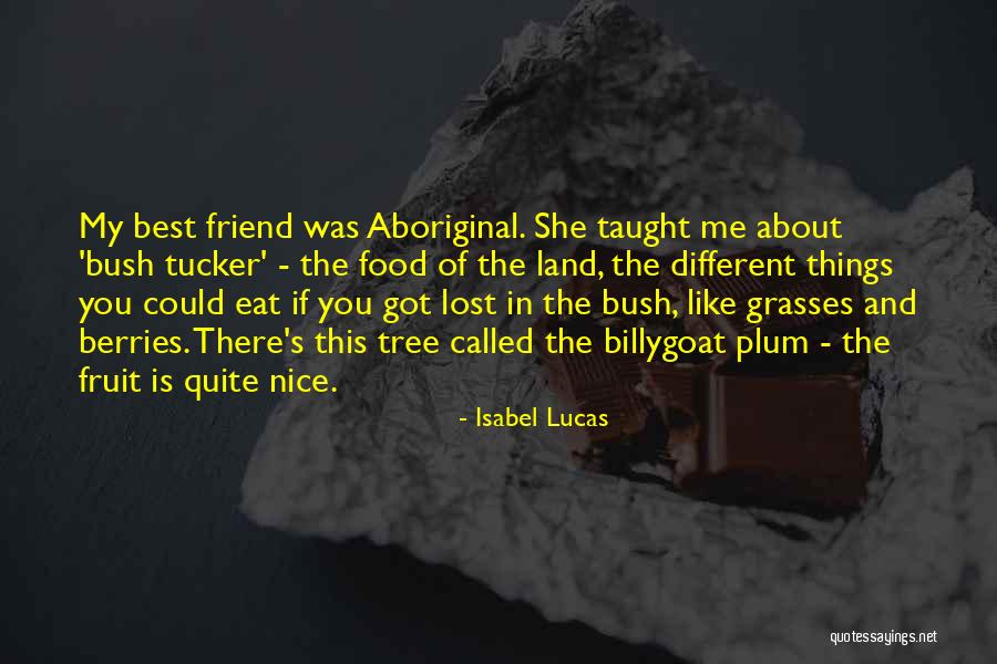 Unexpended Encumbrances Quotes By Isabel Lucas