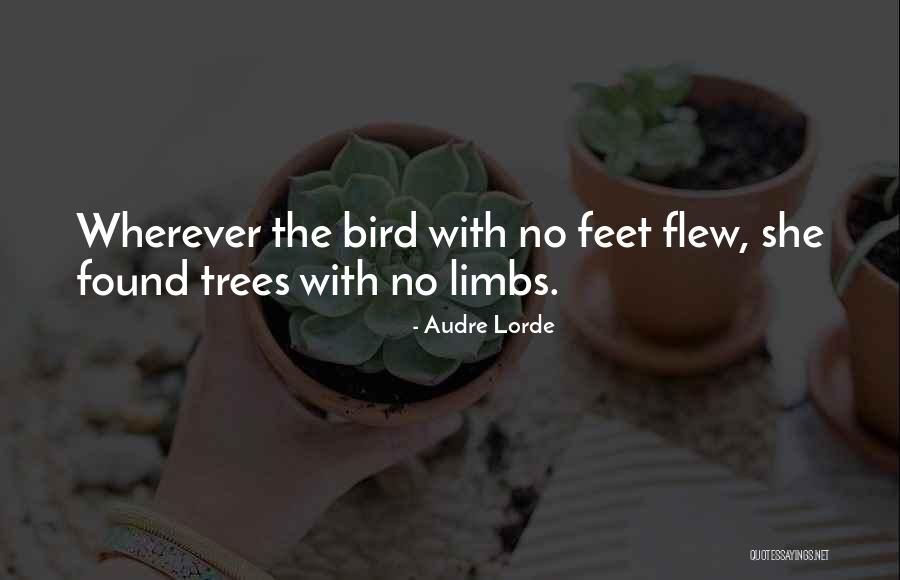 Unextended Quotes By Audre Lorde Unextended Quotes By Audre Lorde