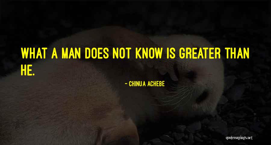 Unfair Arrest Quotes By Chinua Achebe