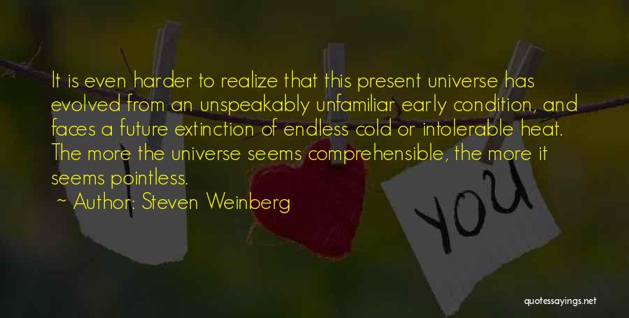 Unfamiliar Faces Quotes By Steven Weinberg