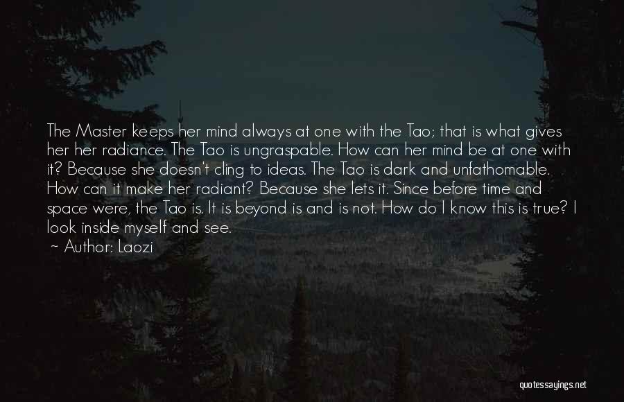 Unfathomable Quotes By Laozi