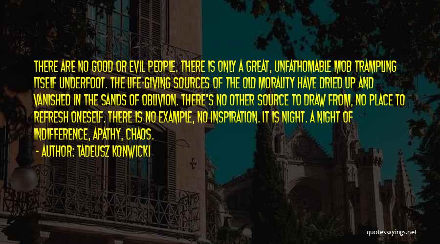 Unfathomable Quotes By Tadeusz Konwicki