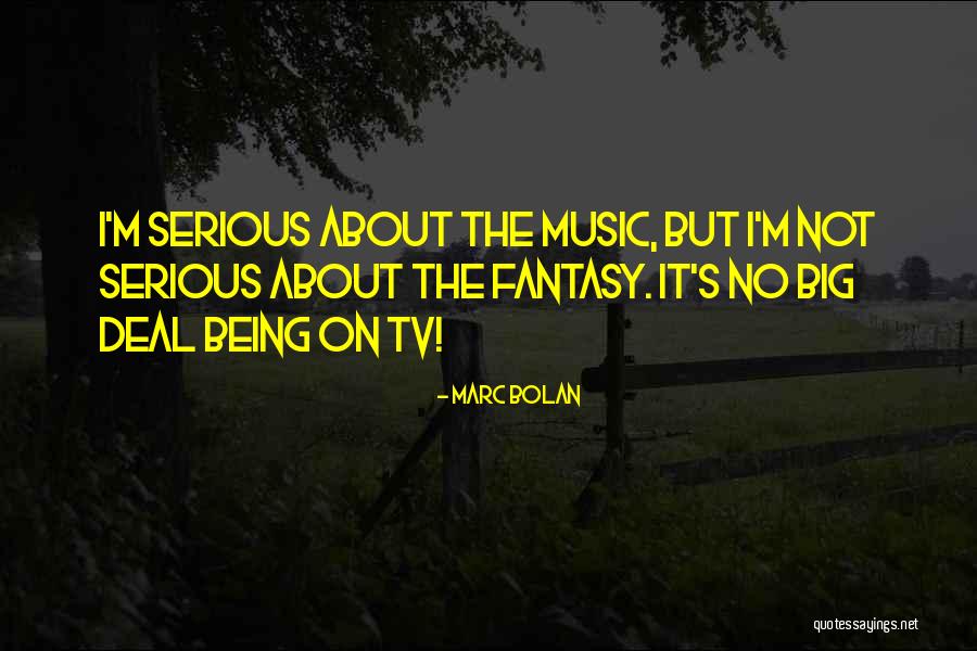 Unfinished Project Quotes By Marc Bolan