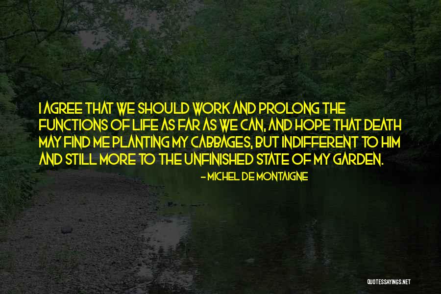 Unfinished Work Quotes By Michel De Montaigne