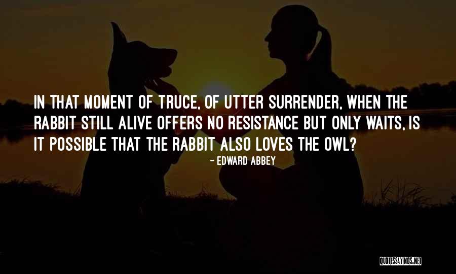 Unforgetting Synonym Quotes By Edward Abbey Unforgetting Synonym Quotes By Edward Abbey