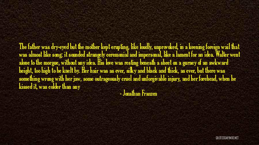 Unforgivable Love Quotes By Jonathan Franzen Unforgivable Love Quotes By Jonathan Franzen