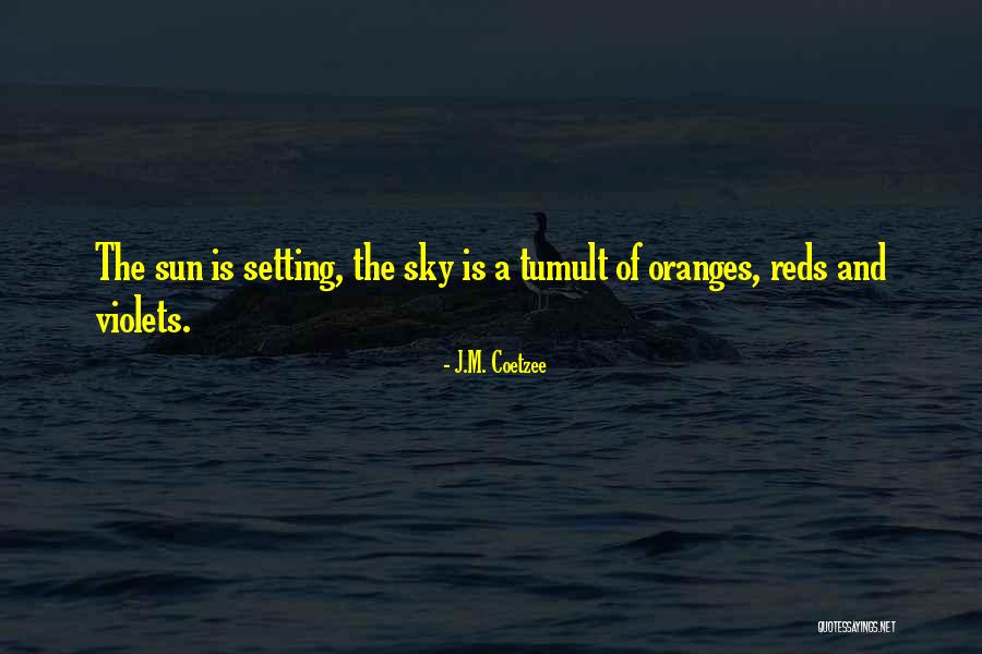 Unformable Quotes By J.M. Coetzee Unformable Quotes By J.M. Coetzee