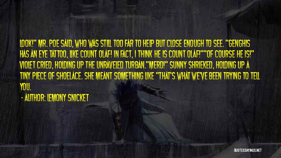 Unfortunate Funny Quotes By Lemony Snicket