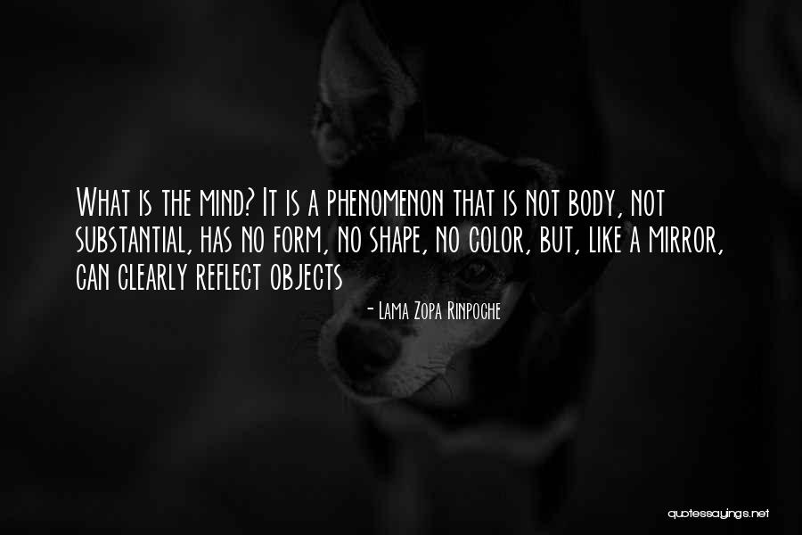 Unfunded Capital Expenditures Quotes By Lama Zopa Rinpoche Unfunded Capital Expenditures Quotes By Lama Zopa Rinpoche