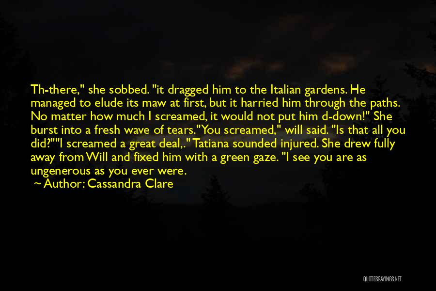 Ungenerous Quotes By Cassandra Clare