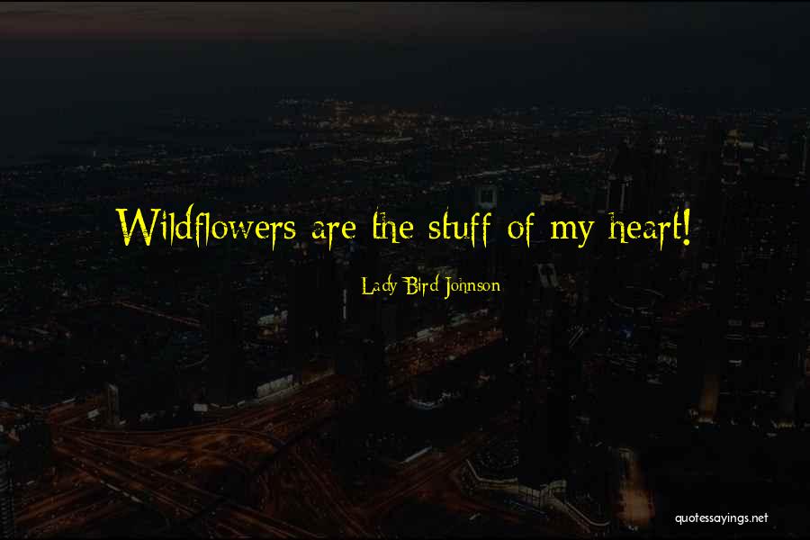 Ungoverned Territories Quotes By Lady Bird Johnson Ungoverned Territories Quotes By Lady Bird Johnson