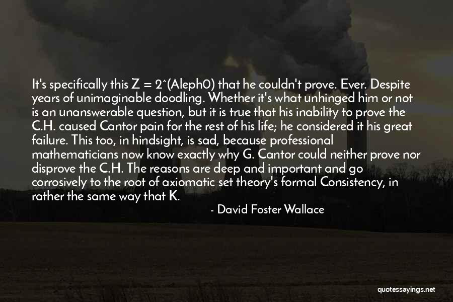 Unhinged Quotes By David Foster Wallace Unhinged Quotes By David Foster Wallace