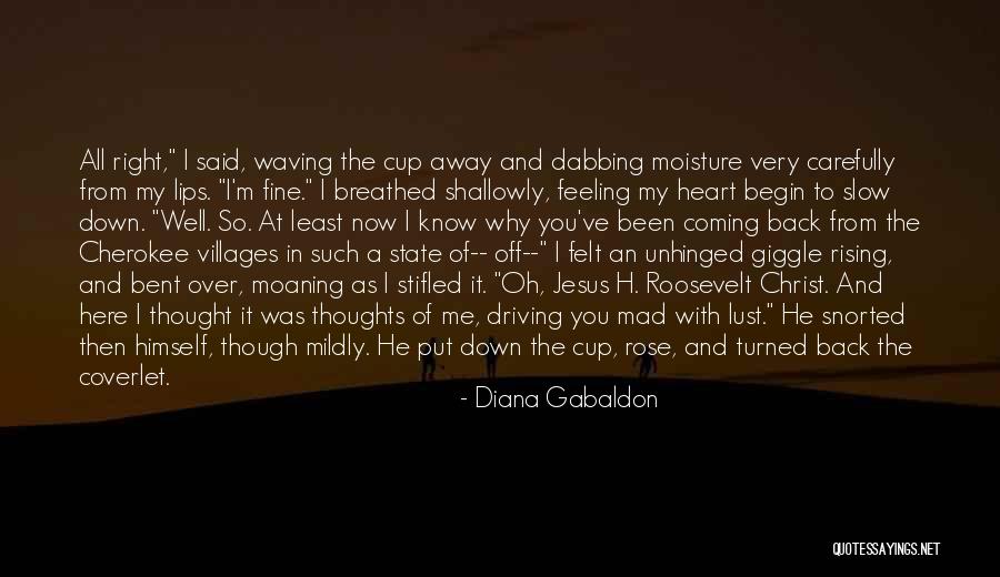 Unhinged Quotes By Diana Gabaldon Unhinged Quotes By Diana Gabaldon