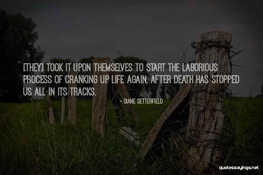 Unhumans Quotes By Diane Setterfield Unhumans Quotes By Diane Setterfield