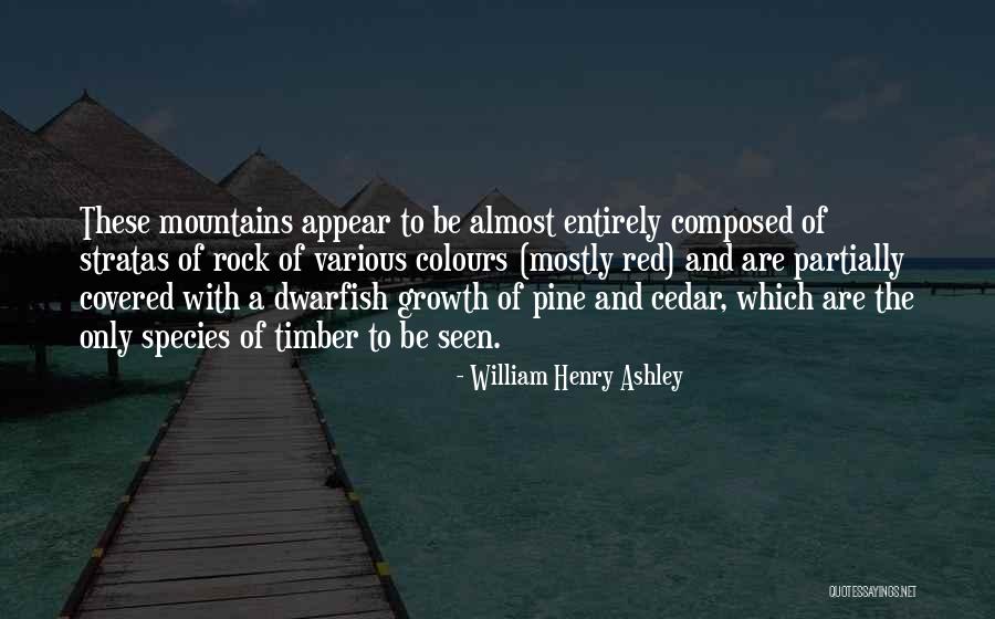 Uniendoscopia Quotes By William Henry Ashley Uniendoscopia Quotes By William Henry Ashley