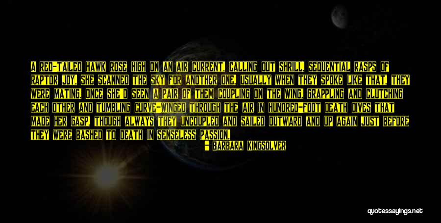 Uniesse 48 Quotes By Barbara Kingsolver Uniesse 48 Quotes By Barbara Kingsolver