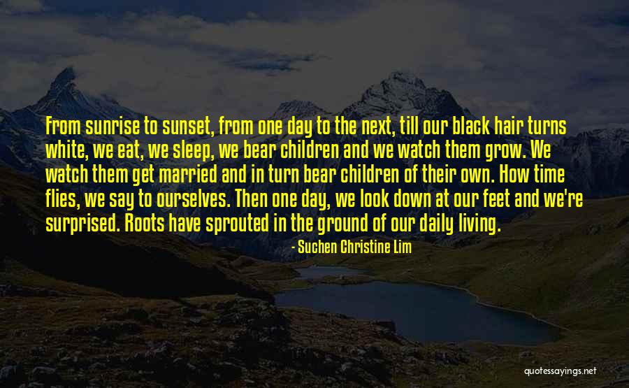 Uniformidad Definicion Quotes By Suchen Christine Lim Uniformidad Definicion Quotes By Suchen Christine Lim