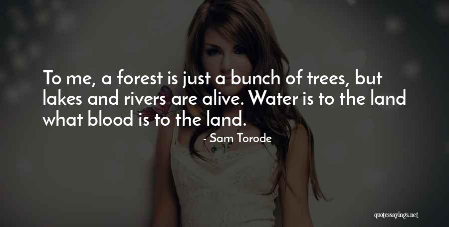 Unimaginable Hamilton Quotes By Sam Torode Unimaginable Hamilton Quotes By Sam Torode