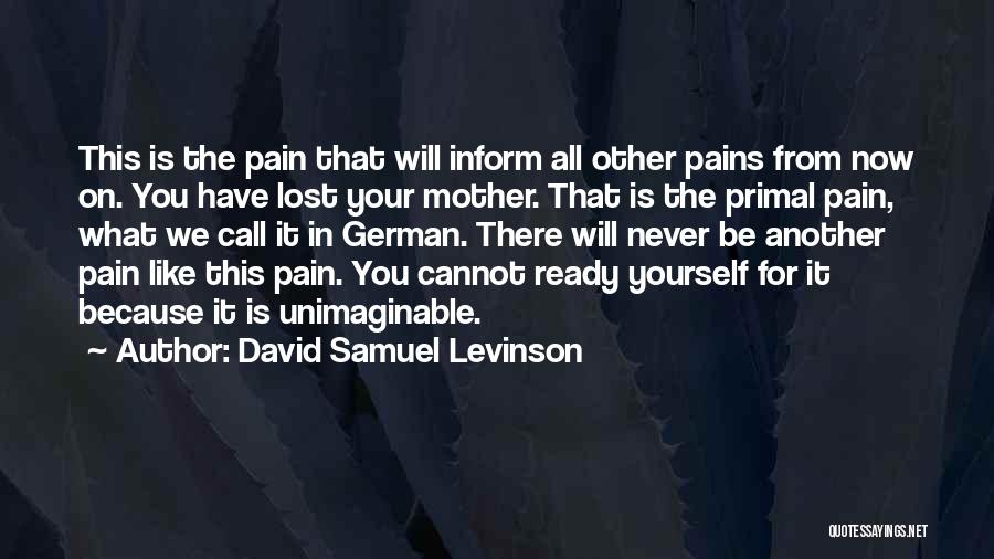 Unimaginable Pain Quotes By David Samuel Levinson