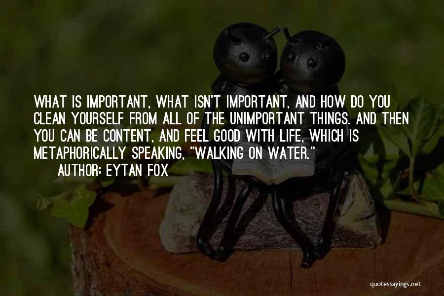 Unimportant Things Quotes By Eytan Fox
