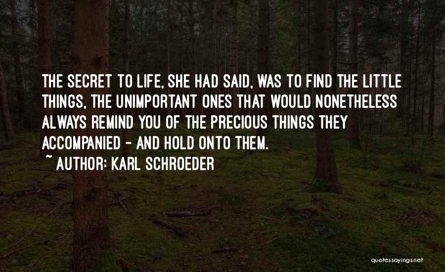 Unimportant Things Quotes By Karl Schroeder