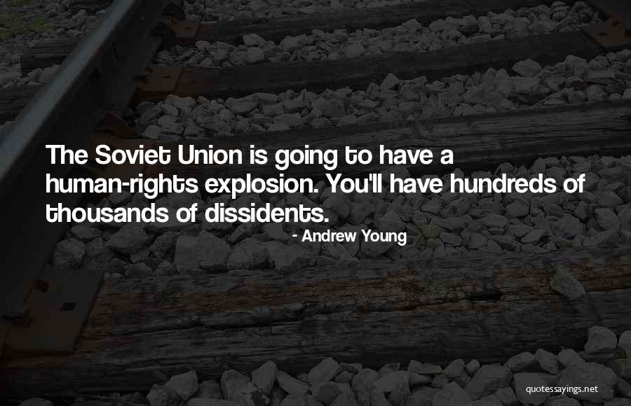 Unincorporated Territory Quotes By Andrew Young Unincorporated Territory Quotes By Andrew Young