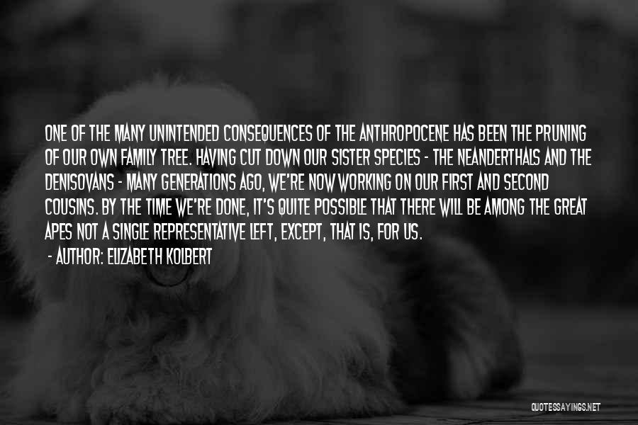 Unintended Consequences Quotes By Elizabeth Kolbert
