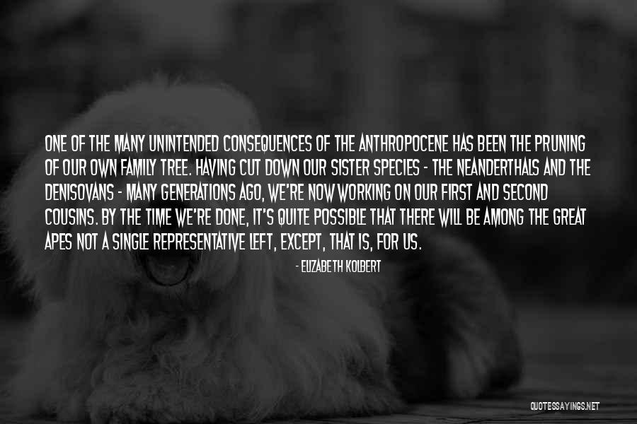 Unintended Consequences Quotes By Elizabeth Kolbert