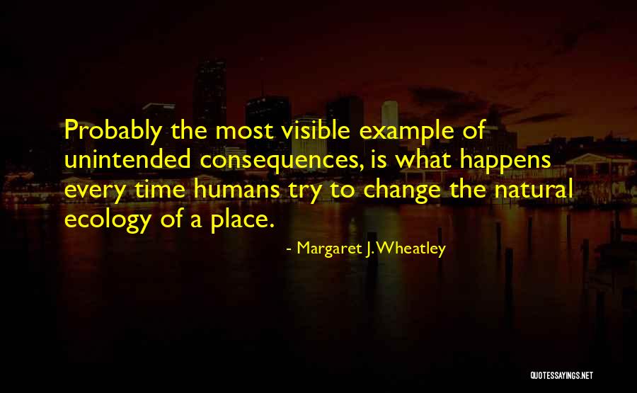 Unintended Consequences Quotes By Margaret J. Wheatley