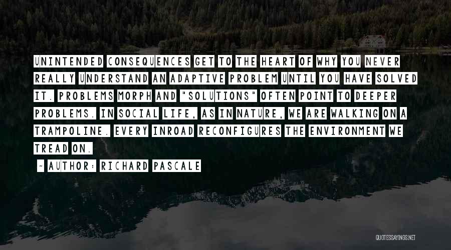 Unintended Consequences Quotes By Richard Pascale