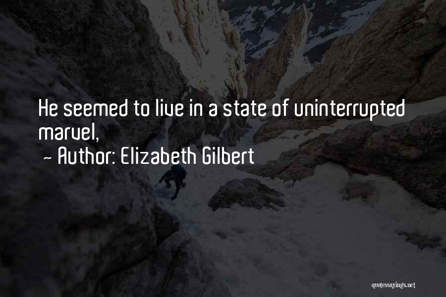 Uninterrupted Quotes By Elizabeth Gilbert