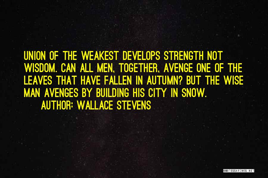 Union Is Strength Quotes By Wallace Stevens