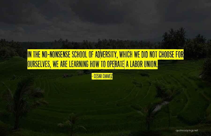 Union Labor Quotes By Cesar Chavez Union Labor Quotes By Cesar Chavez