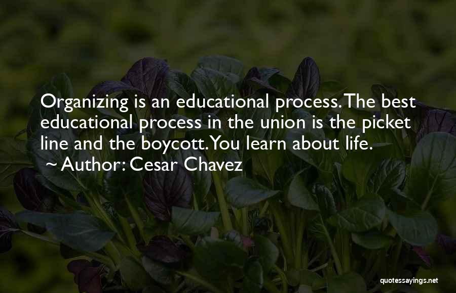 Union Organizing Quotes By Cesar Chavez