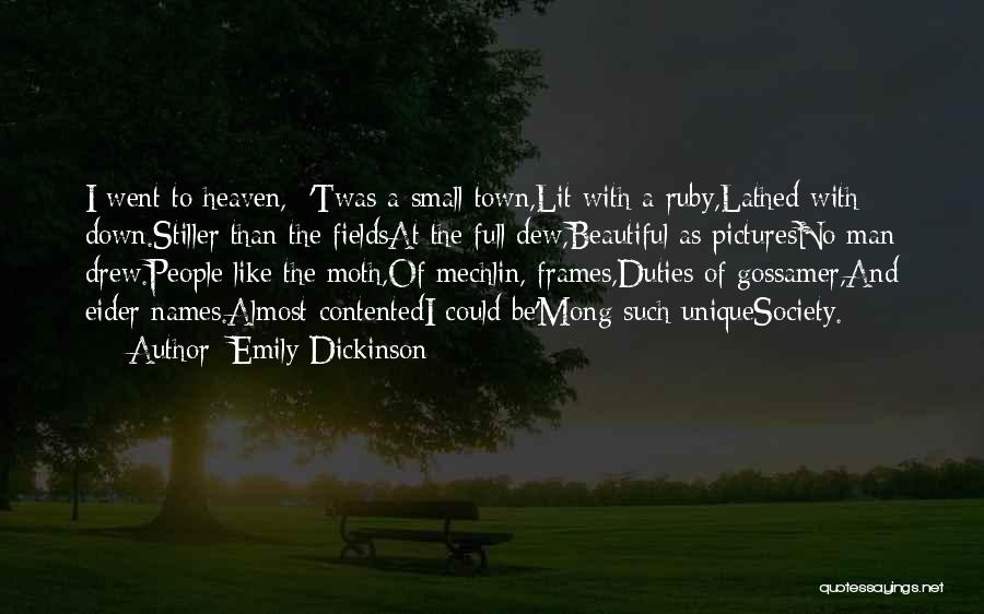 Unique And Beautiful Quotes By Emily Dickinson