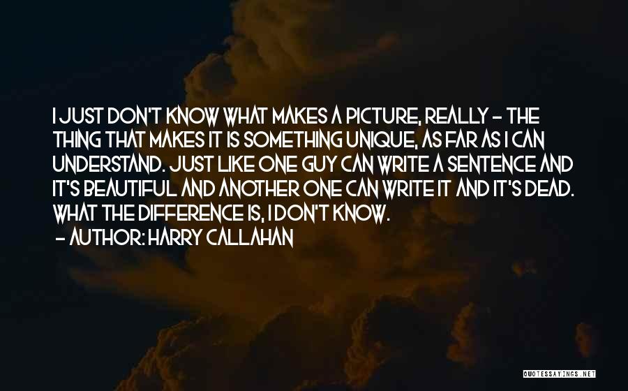 Unique And Beautiful Quotes By Harry Callahan