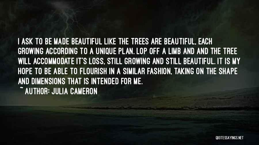 Unique And Beautiful Quotes By Julia Cameron