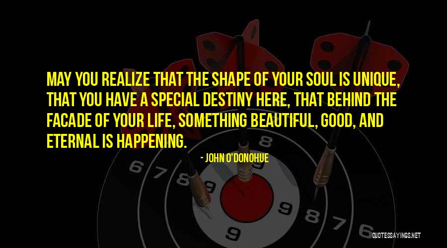 Unique And Special Quotes By John O'Donohue