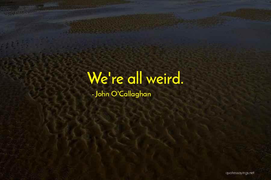 Unique And Weird Quotes By John O'Callaghan Unique And Weird Quotes By John O'Callaghan