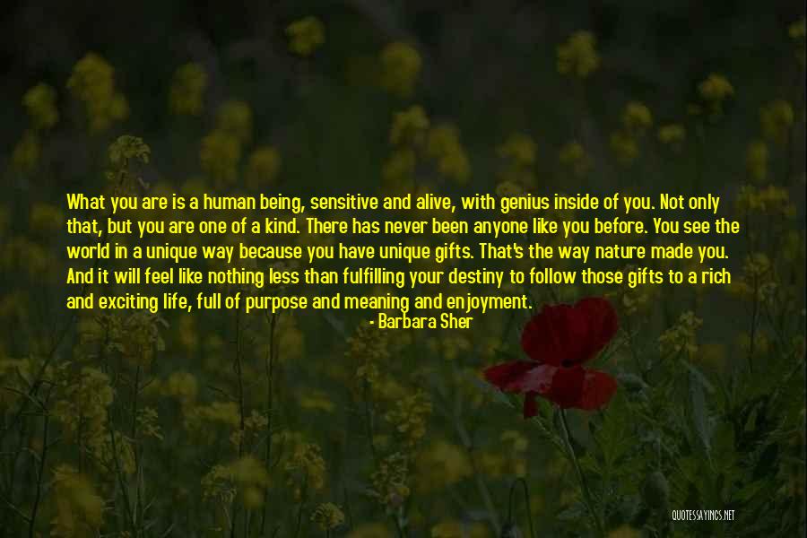 Unique Gifts Quotes By Barbara Sher Unique Gifts Quotes By Barbara Sher