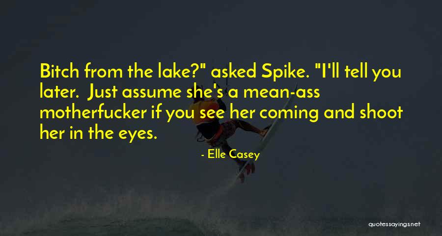 Unirn Ava Quotes By Elle Casey Unirn Ava Quotes By Elle Casey