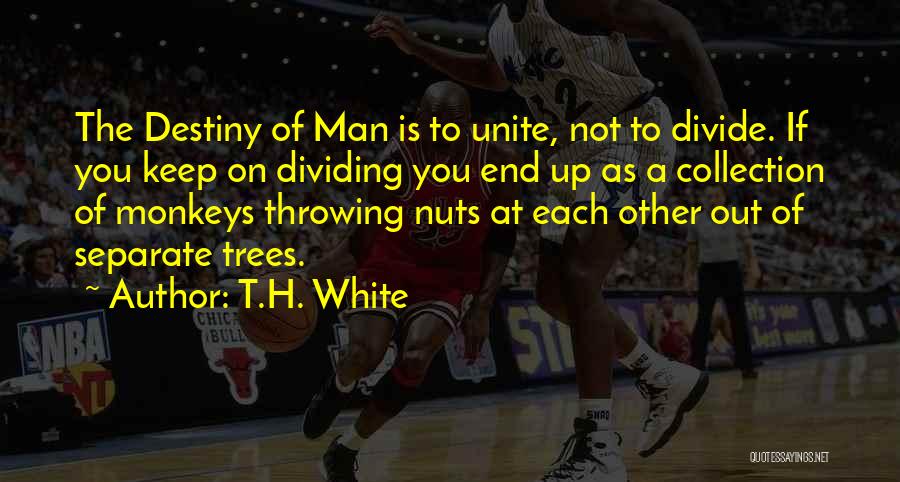 Unite Divide Quotes By T.H. White