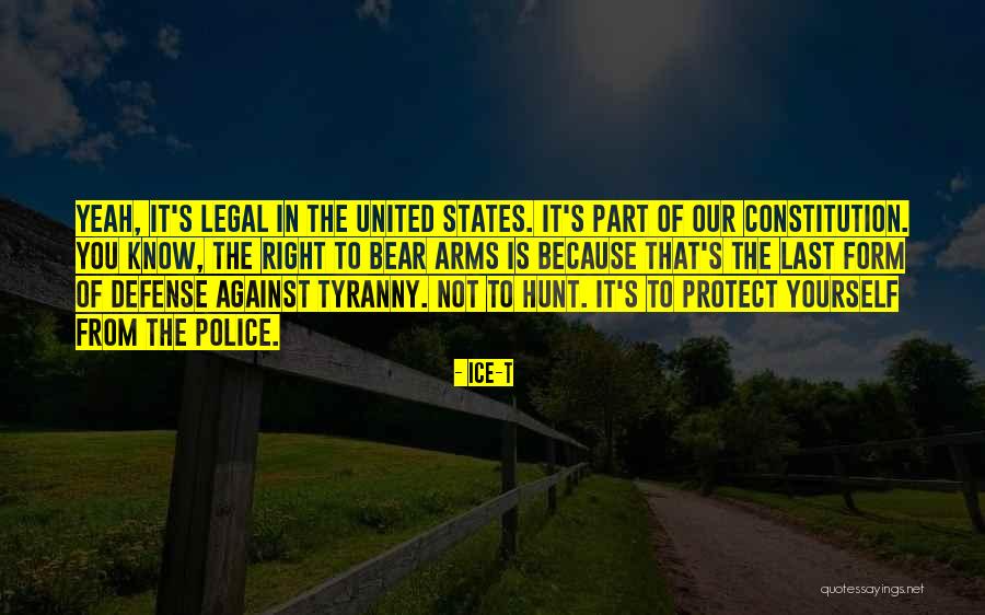 United States Constitution Quotes By Ice-T United States Constitution Quotes By Ice-T