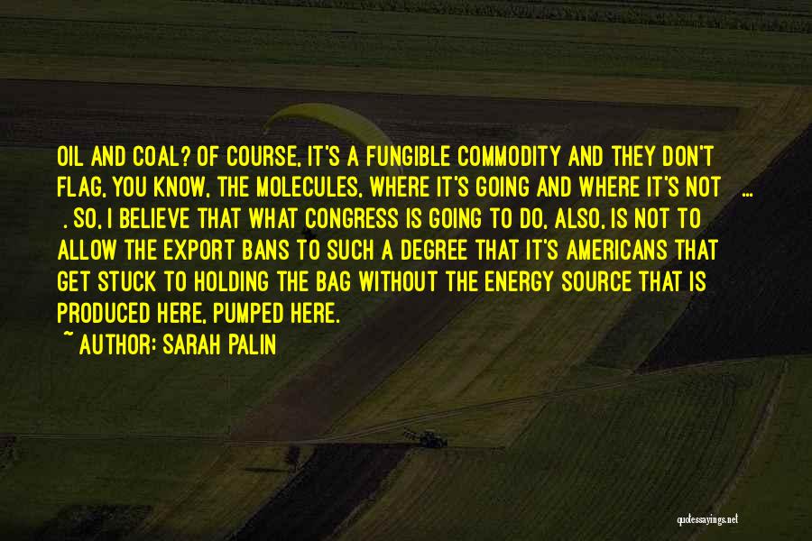 United States Flag Quotes By Sarah Palin