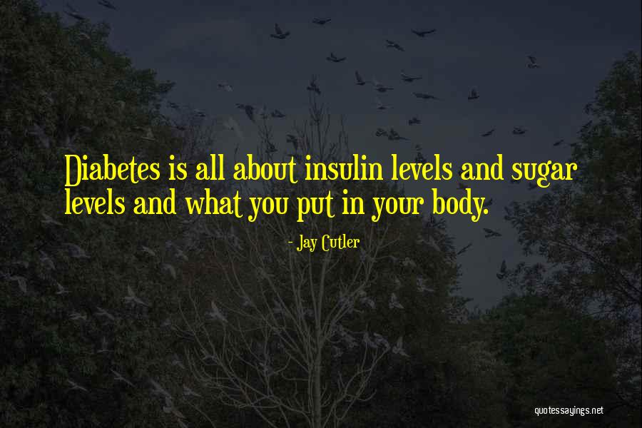 United States Flags Quotes By Jay Cutler United States Flags Quotes By Jay Cutler