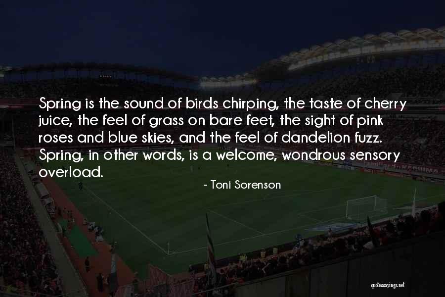United States Justice System Quotes By Toni Sorenson