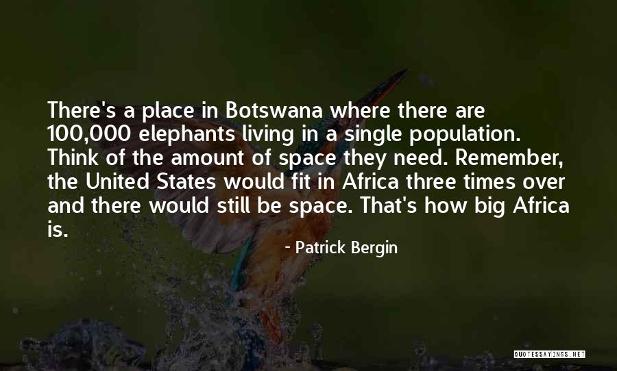 United States Of Africa Quotes By Patrick Bergin